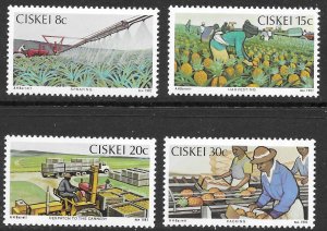 South Africa, Ciskei Scott 38-41 MNH Pineapple Industry Set of 1982, Agriculture