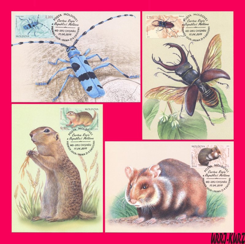 MOLDOVA 2019 Nature Fauna Insects Beetles Mammals Rodents Maxicard Maximum Cards