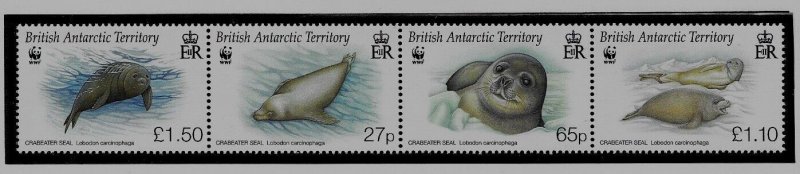 BRITISH ANTARCTIC TERRITORY Sc 410-13 NH issue of 2009 - WILD ANIMALS - SEAL 