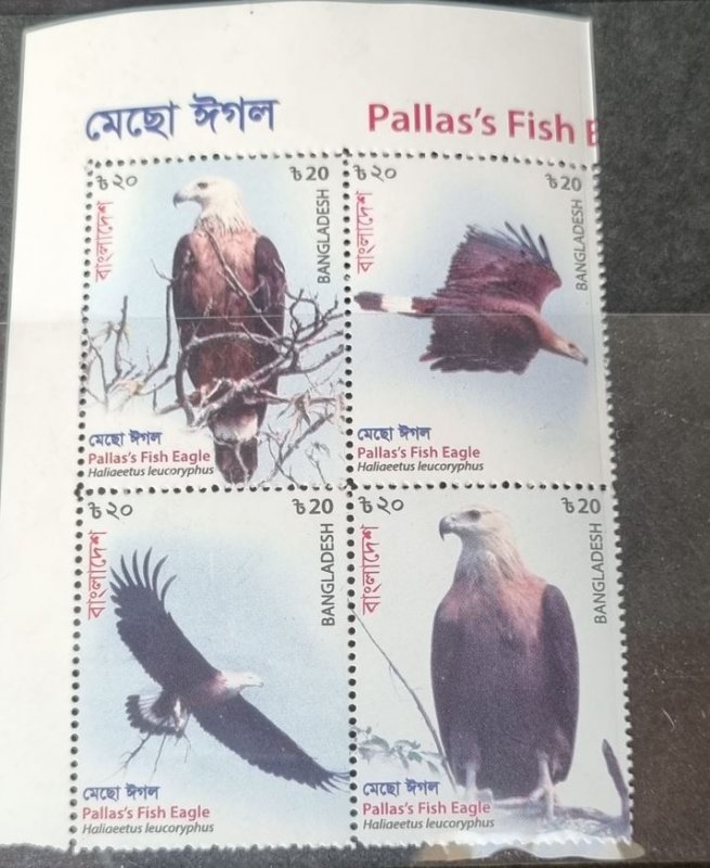 Beautiful sheet of 4 stamps of Fish eagle from Bangladesh. Mint never hinged.
