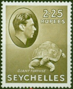 Seychelles 1938 2R25 Olive SG148 Fine MM