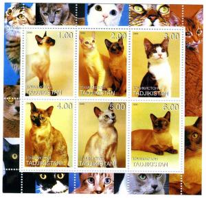 Tajikistan 2000 Domestic Cats Sheet (6) Perforated mnh.vf