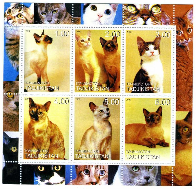 Tajikistan 2000 DOMESTIC CATS Sheet (6) Perforated Mint (NH)