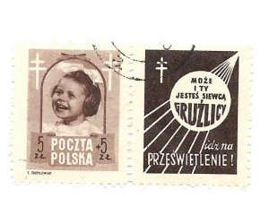 Poland 1948 - Scott #B60 *