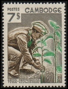 Cambodia 162 - Mint-NH - 7r Arbor Day / Planting Trees (1966) (cv $0.85)