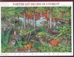 3899 Northeast Deciduous Forest MNH