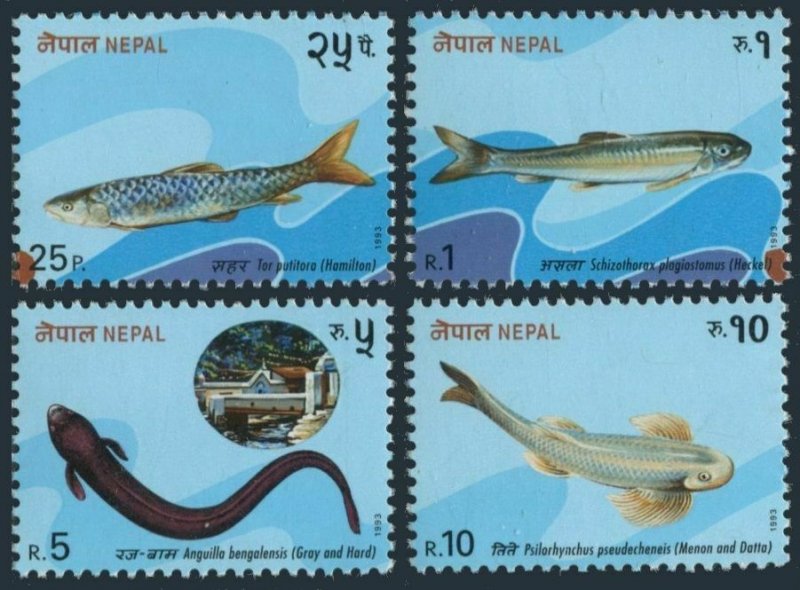 Nepal 517-520,MNH.Michel 540-543. Fish,1993.