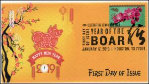 19-027, 2019, Year of the Boar, Pictorial  Postmark, FDC, Lunar New Year