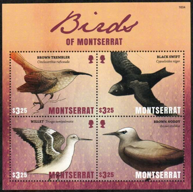 Montserrat Stamp 1377  - Birds of Montserrat