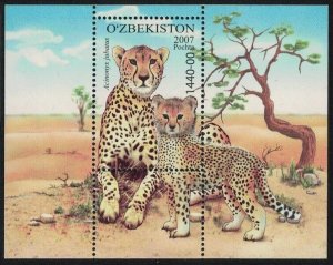 2007 Uzbekistan 758/B49 Cats