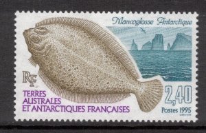 FRENCH ANTARCTIC 1995 Antarctic Armless Flounder; Scott 204, Yvert 196; MNH