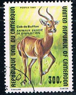 Cameroun 679 Used Buffon de Kob 1980 (C0256)+