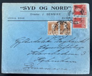 1928 Buenos Aires Argentina Commercial Cover To Denmark