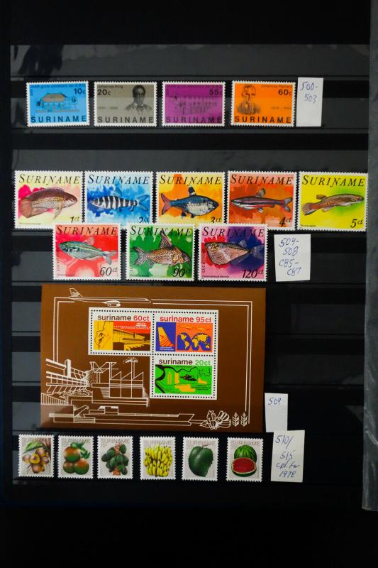 Suriname 1800's to 1980's Stamp Collection