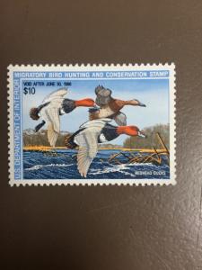 US RW54 Federal Duck Stamp - mint never hinged - very nice 1987 stamp 