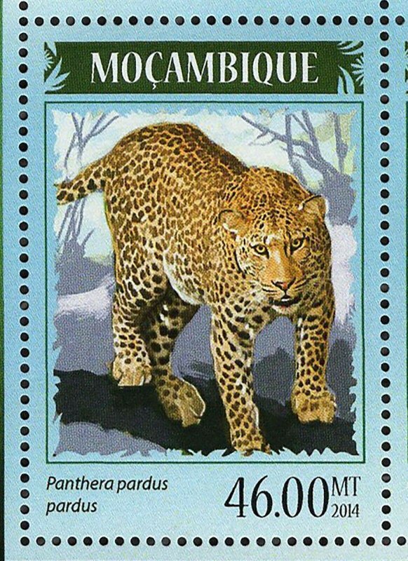 Lions Leopards Stamp Panthera Pardus Panthera Leo S/S MNH #7370-7373