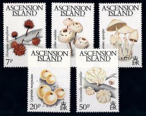 [65757] Ascension 1983 Mushrooms Pilze Champignons  MNH