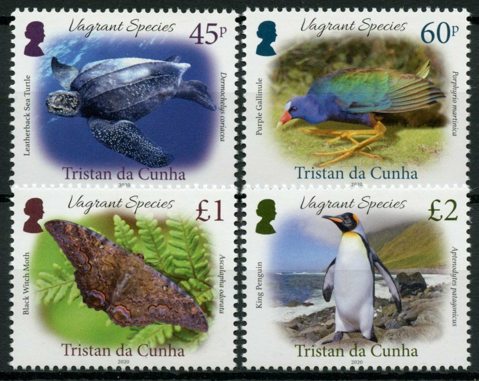 Tristan da Cunha Birds Stamps 2020 MNH Vagrant Species Turtles Penguins