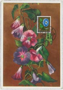 MAXIMUM CARD : nature FLOWERS  - SWITZERLAND 1958 #1