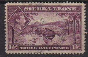 Sierra Leone 1938 - Scott 175a used - 1.1/2p Rice Harvesting