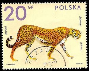 # 2015 USED FISCHER CATALOUGE