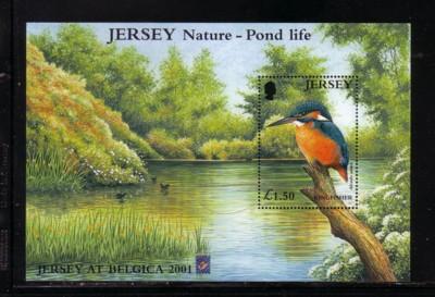 Jersey  Sc 995a 2001 Kingfisher Belgica stamp sheet NH