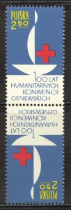 Poland Scott 1133 MNHOG Tête Bêche Pair - 1963 Red Cross Centenary - SCV $1.50