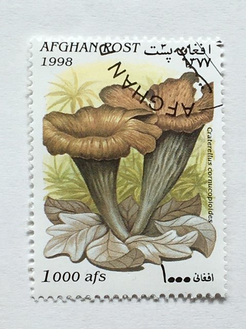 Afghanistan–1998–1 of 6 Stamp set of “Mushroom” stamps–SC# Unknown - CTO