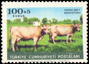 Turkey #B98-B102, Complete Set(5), 1964, Animals, Never Hinged