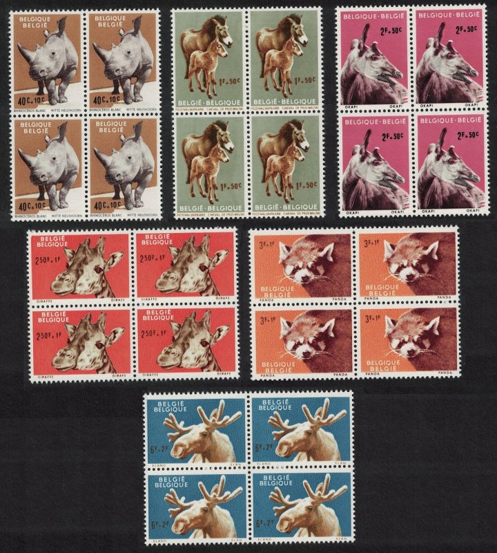 Belgium Panda Rhino Giraffe Animals of Antwerp Zoo 6v Blocks of 4 1961 MNH