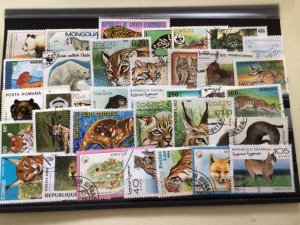 Wild Animals from around the world stamps A6902