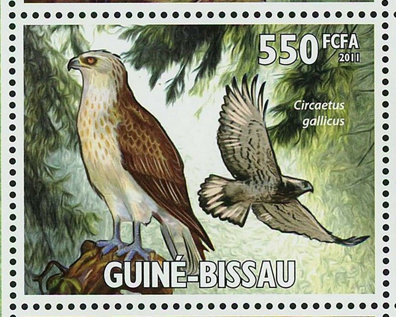 Raptors Birds Stamp Buteo Cirsoetus Gallicus S/S MNH #5266-5271