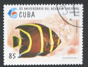 CUBA Sc# 3634 NATIONAL AQUARIUM FISH marine life  85c 1995  used cto