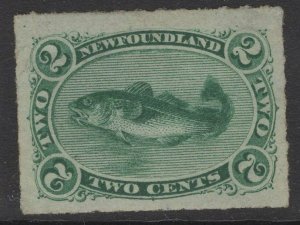 NEWFOUNDLAND SG41 1879 2c BLUISH GREEN MTD MINT