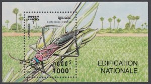 Cambodia #1322  S/S  Insect  1993  MNH