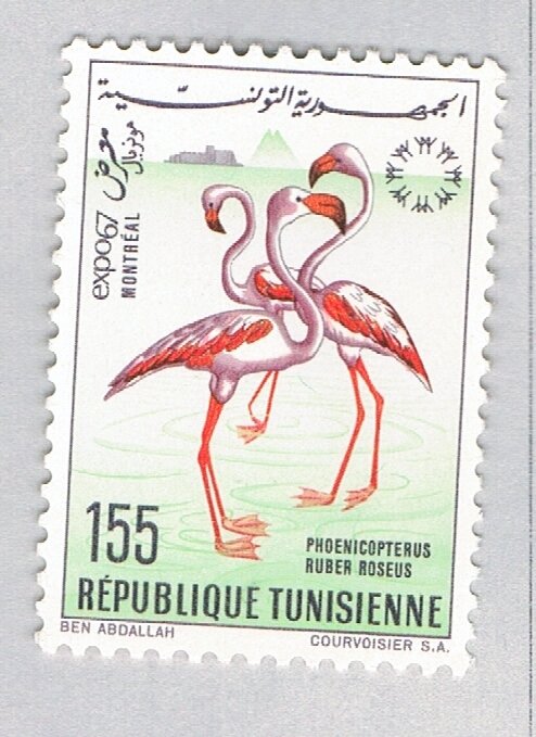 Tunisia  Unused Flamingos bird 1967 (BP67625)