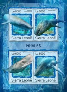 SIERRA LEONE 2016 SHEET WHALES MARINE LIFE srl161209a