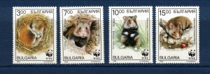 Bulgaria Sc 3831-4 MNH Full Set of 1994 - WWF - Animals - Cricetus -HJ06