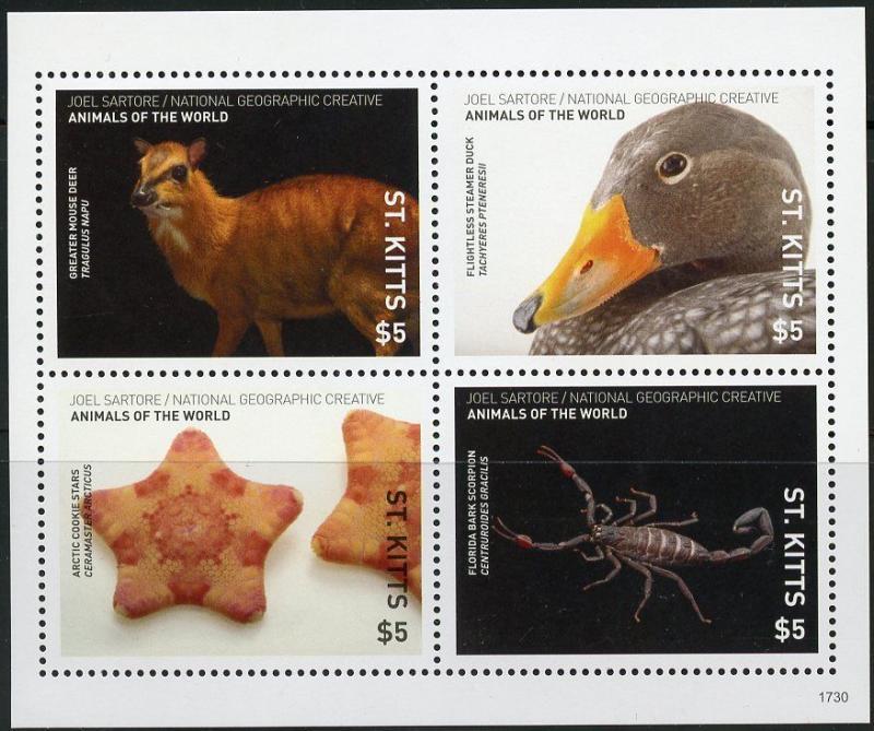 ST. KITTS  2017  NAT'L GEORGRAPHIC ANIMALS OF THE WORLD SHEET OF FOUR MINT NH 