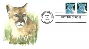 #4137 Florida Panther Edken FDC