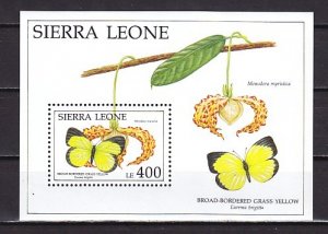 Sierra Leone, Scott cat. 1407. Butterfly s/sheet.