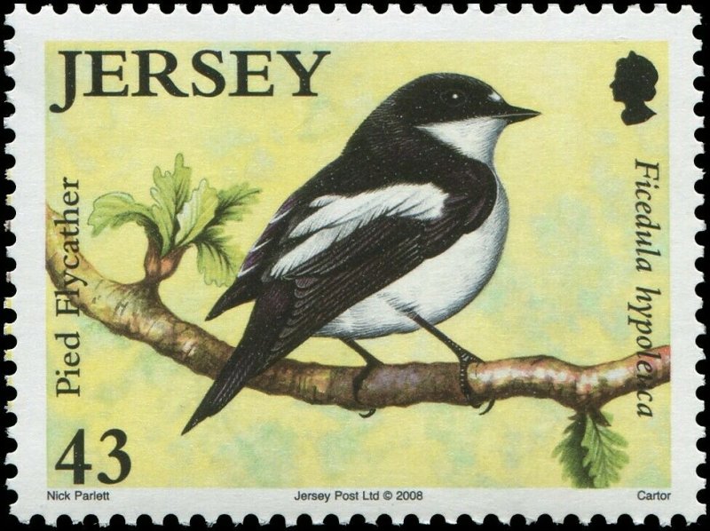 Great Britain Jersey 2008 Sc 1342-1347 Birds Wheatear Whinchat Wagtail CV $9.90