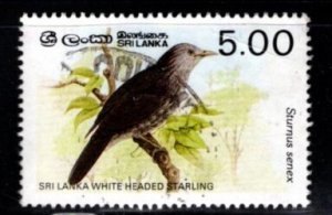 Sri Lanka #838 Birds - White Headed Starling - Used
