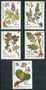 Russia Scott 5379-83 MNHOG - 1985 Siberian Medicinal Plants Set - SCV $2.00