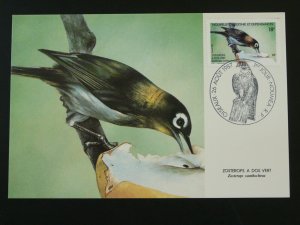 bird zosterops maximum card New Caledonia 94587
