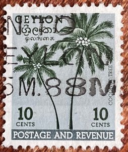 Ceylon #313 Used Single Coconut Palms L39