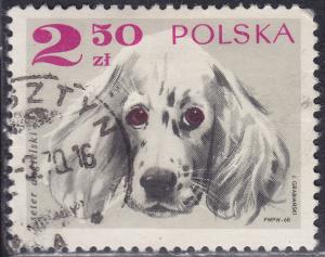 Poland 1640 English Setter 2.50zł 1969