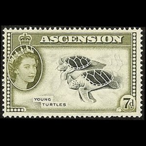 ASCENSION 1956 - Scott# 70 Green Turtle 7p NH