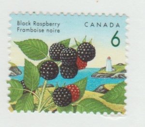 Canada 1353 Black Raspberry