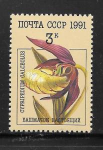 Russia #5994 MNH Single
